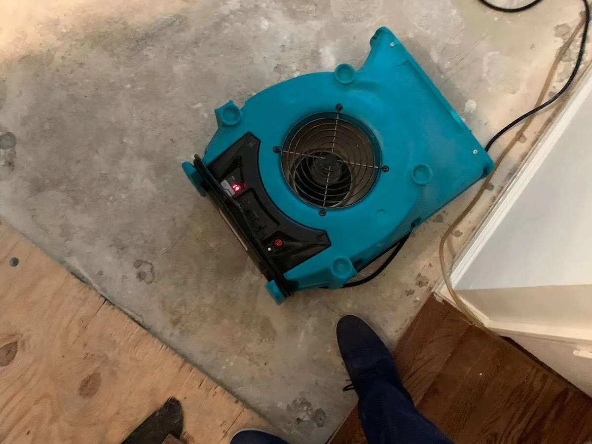 Air mover drying subfloor during Commercial Water Damage Restoration in St. Pete Beach
