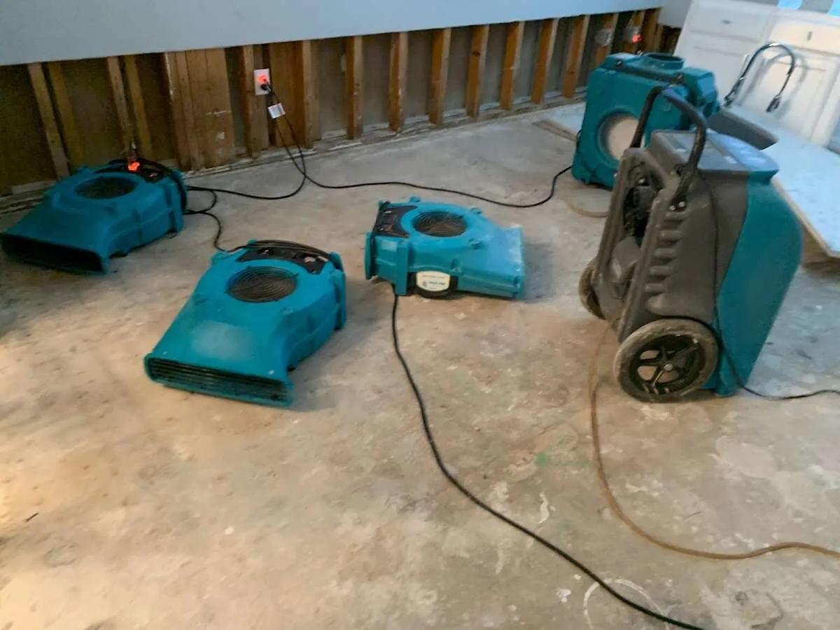 Water Damage Restoration services in St. Pete Beach, FL