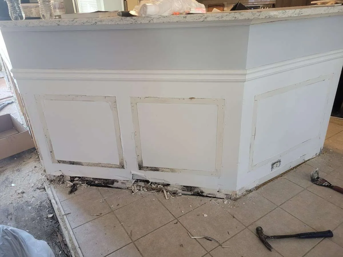 Water damage and mold on kitchen during Mold Inspection & Testing in St. Pete Beach